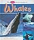 The Pebble First Guide to Whales (Pebble First Guides)