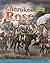Cherokee Rose (American History Through Primary Sources)