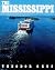 The Mississippi by Theodor Geus