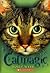 Catmagic (Animalmagic, #1)