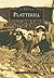 Plattekill (Images of America: New York)