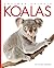 Koalas (Amazing Animals)