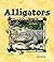 Alligators (Animal Kingdom)