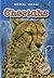 Cheetahs