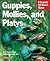 Guppies, Mollies, and Platys: Everything About Purchase, Care, Nutrition, and Behavior (Complete Pet Owner's Manual Series)