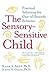 The Sensory-Sensitive Child...