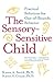 The Sensory-Sensitive Child: Practical Solutions for Out-of-Bounds Behavior