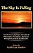 The Sky Is Falling: A dark but vivid glimpse into a life of Dissociation, Self-Injury, and Incest through the mind of an adolescent.