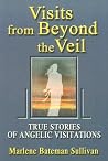 Visits from Beyond the Veil: True Stories of Angelic Visitations