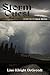 Storm Quest (Quest, #9)