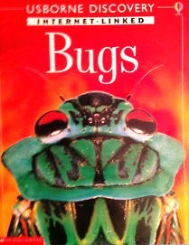 Bugs: Internet Linked (Usborne Discovery)