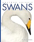 Swans