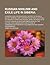 Russian Nihilism and Exile Life in Siberia; A Graphic and Chronological History of Russia's Bloody Nemesis, and a Description of Exile Life in All Its True But Horrifying Phases, Being the Results of a Tour Through Russia and Siberia Made by the Author...
