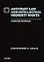 Antitrust Law and Intellectual Property Rights: Cases and Materials