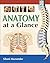Anatomy at a Glance