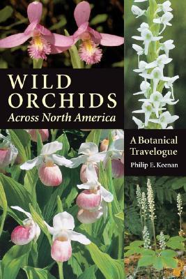 Wild Orchids Across North America: A Botanical Travelogue (Paperback)