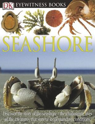 Seashore (Hardcover)