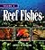 Reef Fishes: A Guide to The...