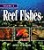 Reef Fishes by Scott W. Michael