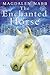 The Enchanted Horse