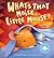 What's That Noise, Little Mouse?: A Fun-Filled Book Of Surprise Sounds!