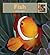 Fish (My First Look At: Pets)