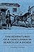 The Adventures Of A Gentleman In Search Of A Horse by George Stephen