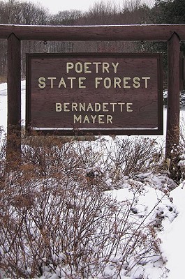 Poetry State Forest (Paperback)