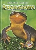 Salamanders