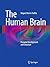 The Human Brain: Prenatal Development and Structure