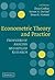 Econometric Theory and Practice by Dean Corbae