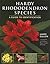 Hardy Rhododendron Species: A Guide to Identification