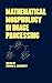 Mathematical Morphology in ...