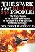 The Spark That Killed 230 People: The Scary Details of the Ntsb's Final Report of the Crash of Twa Flight 800 How Safe Is Flying