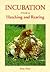 Incubation: A Guide to Hatching and Rearing