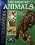 The World of Animals