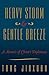 Heavy Storm and Gentle Breeze: A Memoir of China's Diplomacy