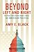 Beyond Left and Right: Helping Christians Make Sense of American Politics