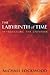 The Labyrinth of Time by Michael Lockwood