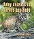 Baby Animals in Forest Habitats (Habitats of Baby Animals)