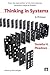 Thinking in Systems: A Primer