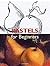 Pastels for Beginners (Fine Arts for Beginners) [Paperback] [Jan 01, 2005] Rodriguez, Ramon de Jesus