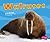 Walruses (Pebble Plus: Under the Sea)