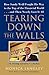 Tearing Down the Walls by Monica Langley
