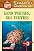 Land Turtles, Sea Turtles (Reader's Clubhouse Level 3)