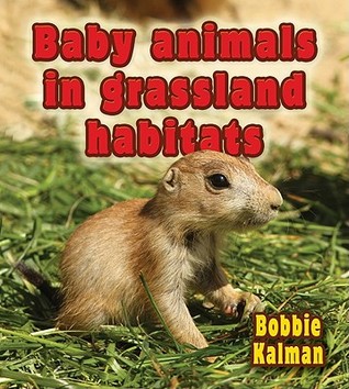 Baby Animals in Grassland Habitats (Habitats of Baby Animals)