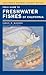 Field Guide to Freshwater Fishes of California