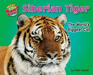 Siberian Tiger: The World's Biggest Cat (Supersized!)