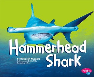 Hammerhead Shark (Sharks)