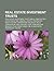 Real Estate Investment Trusts: Real Estate Investment Trust, Aimco, Creative Real Estate Investing, General Growth Properties